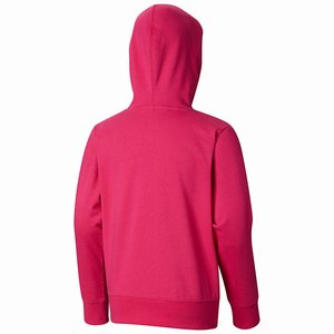 Columbia CSC™ Hoodie Flickor Röda (PTGFV1609)